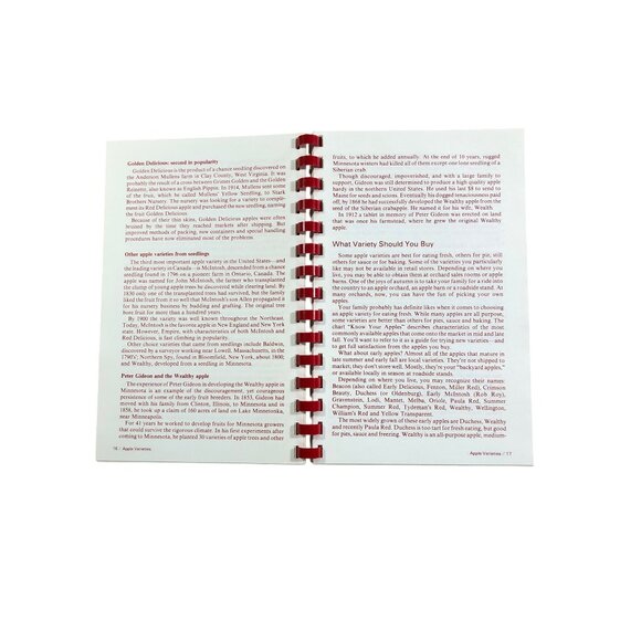 Apple Lovers Cookbook Ground Beef 700 Household Tips Recipe Books Lot of 3 - Picture 13 of 16